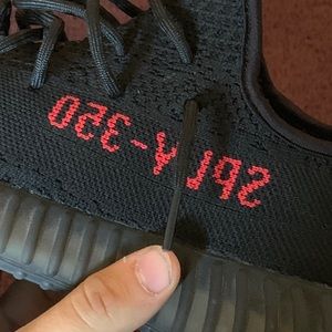 Meet your Posher, Dylan